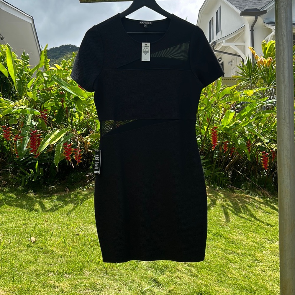Express bodycon dress